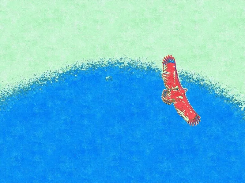 Havsörn på Blekinges himmel Pop Art XVI av Harri Ylikomi