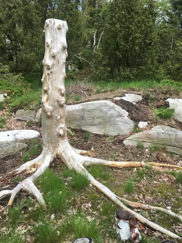 Skulptur Avskalad av Karin Olander Carlson