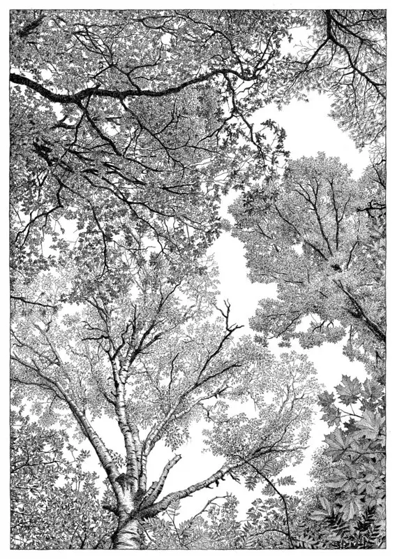 Summer av Andreas von Buddenbrock