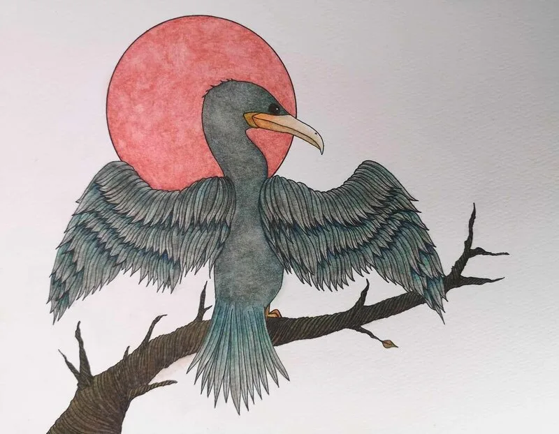 Du kan va invasiv av Fröken Markatta