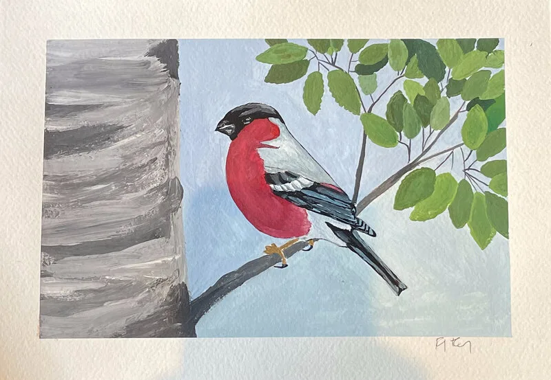 Domherren av Fanny Faxby