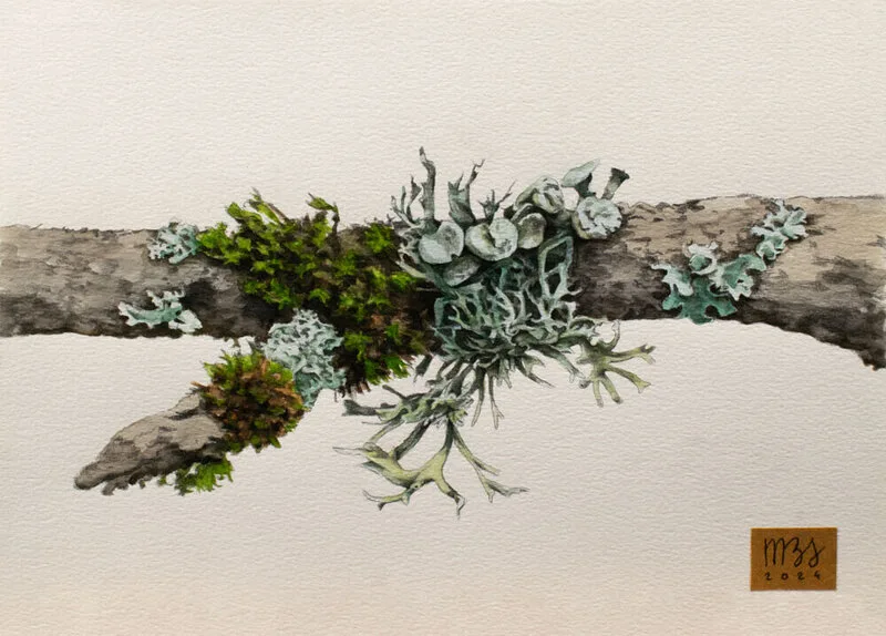 Akvarell Rya #1 av Marta Bies