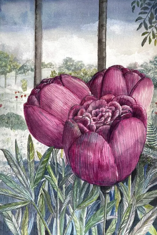 Fog av Magnus Hansson