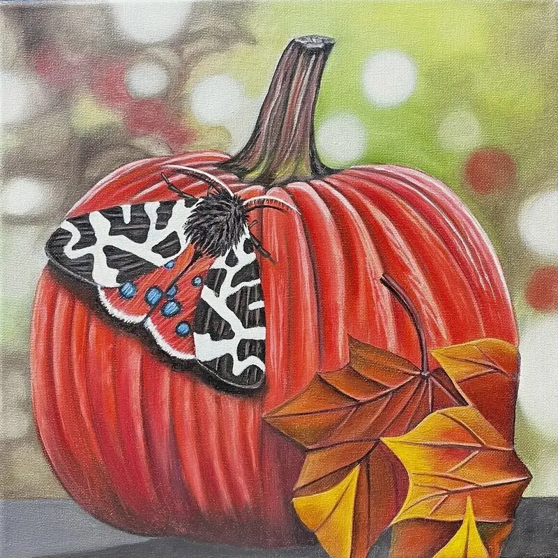 Oljemålning Garden Tiger Moth on pumpkin av Kabo Konst
