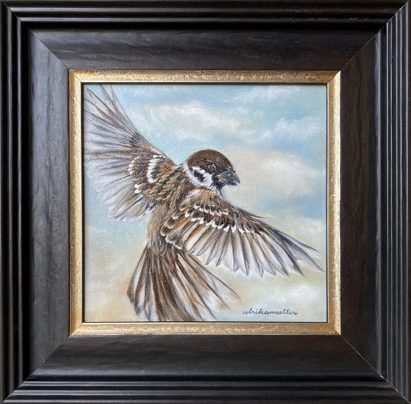 Oljemålning Gaze of a sparrow av Ulrika Muller