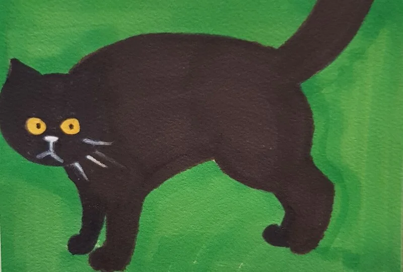 Katt av Jonas Pehrsson