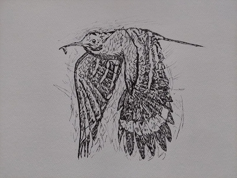 Härfågel av Joel Poletti