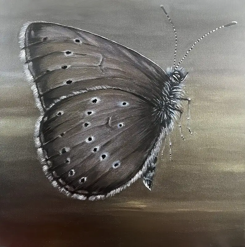 Akrylmålning Alkonblåvinge av Anne E Svensson