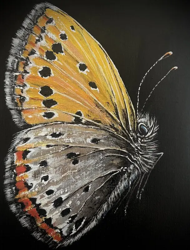 Akrylmålning Violettguldvinge av Anne E Svensson