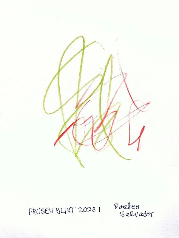 Frusen blixt 2023 1 av Poeten Salvador