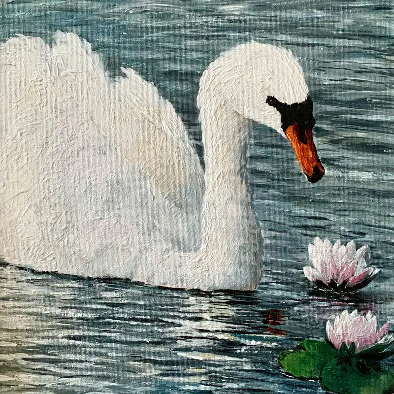 Akrylmålning Svan i sjön av Anna Lindholm