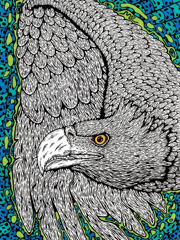 Eagle av Mikael Boman