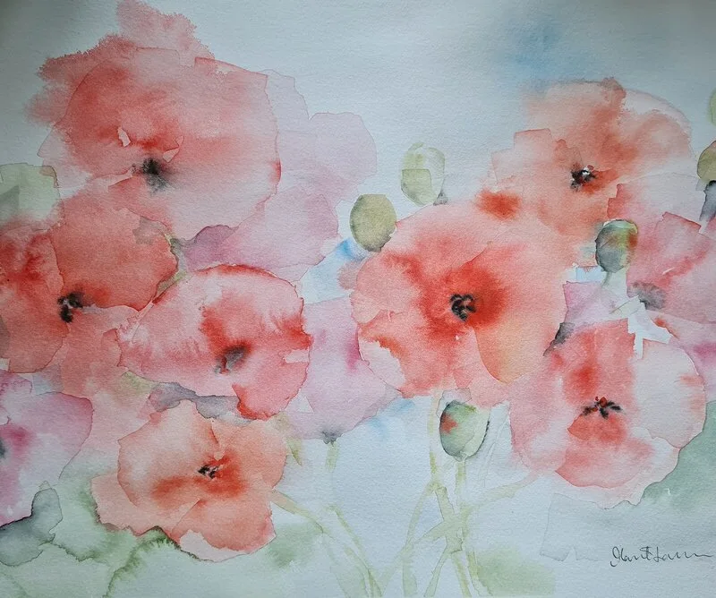 Akvarell Vallmosommar av Marit Larsson