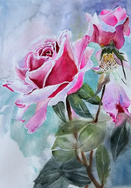 Akvarell Rosa rosor av Ewa Helzen
