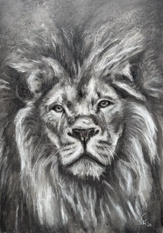 Lion av Tuija Tudor