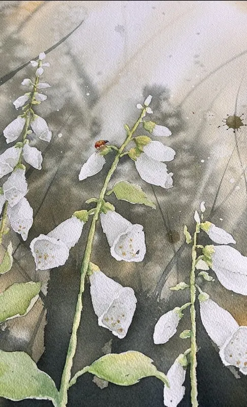 Akvarell av Mia Uhlander