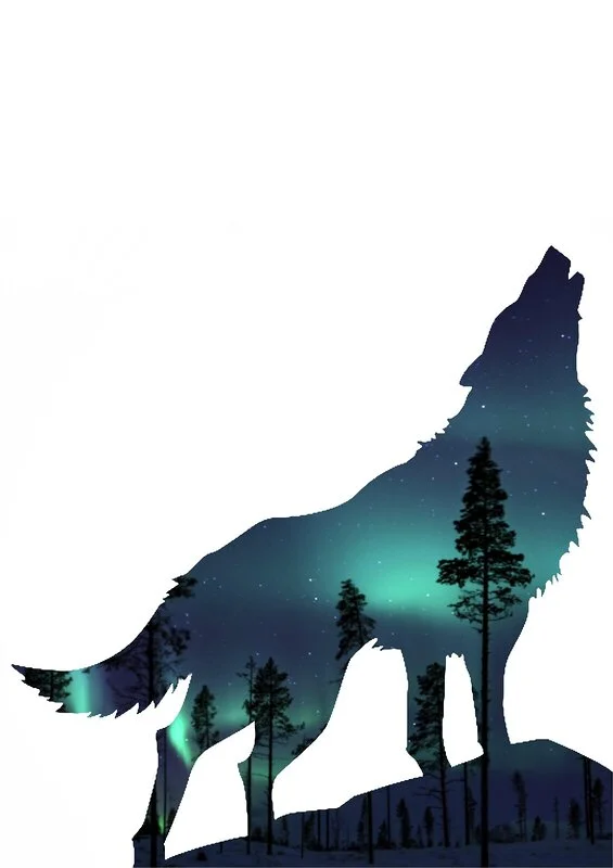 Howling wolf in northen lights av Kattis Olofsson