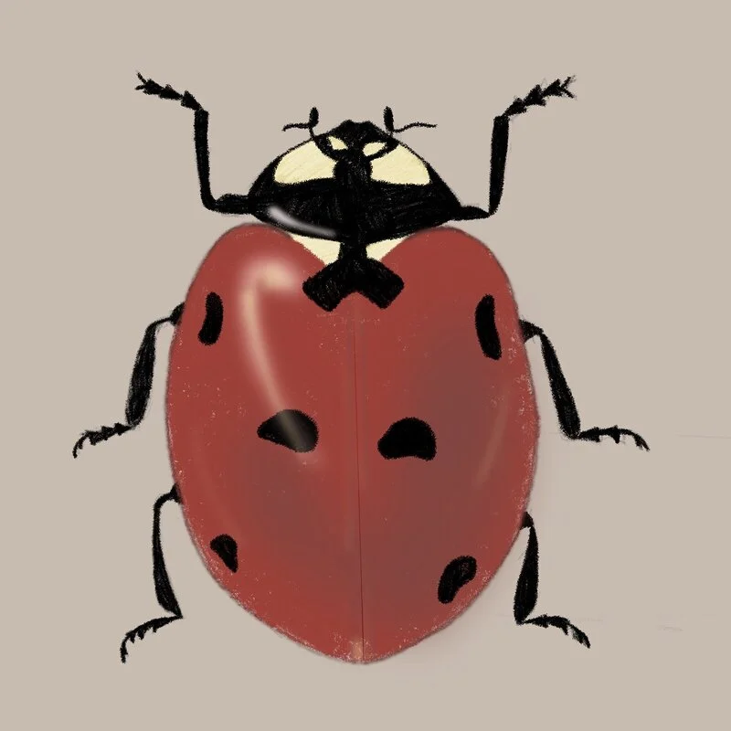 Lady bug av Mia Ahlberg