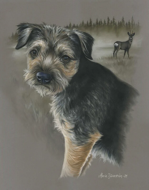 Mirra, borderterrier av Maria Tjärnström