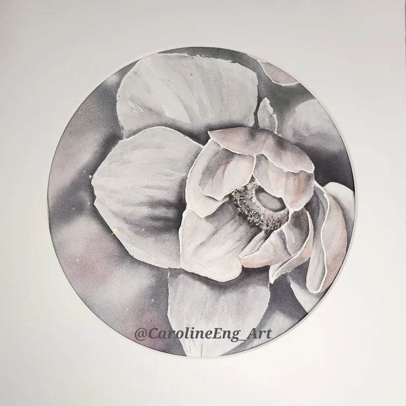 Akvarell Anemone Apricot (Fine art print) av Caroline Eng