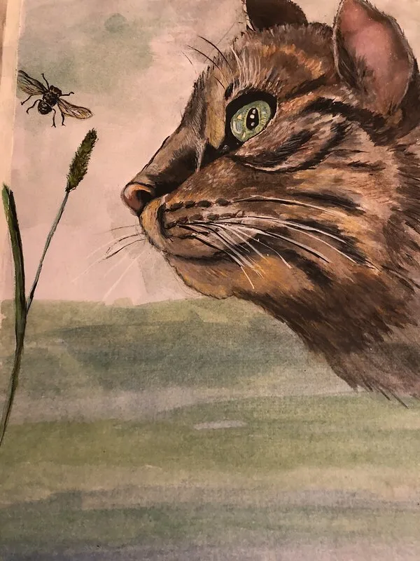 Akvarell Nyfiken katt av Susanne Kovacs