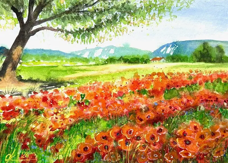 Akvarell Vallmofält i Provence av Olga Kharyakova