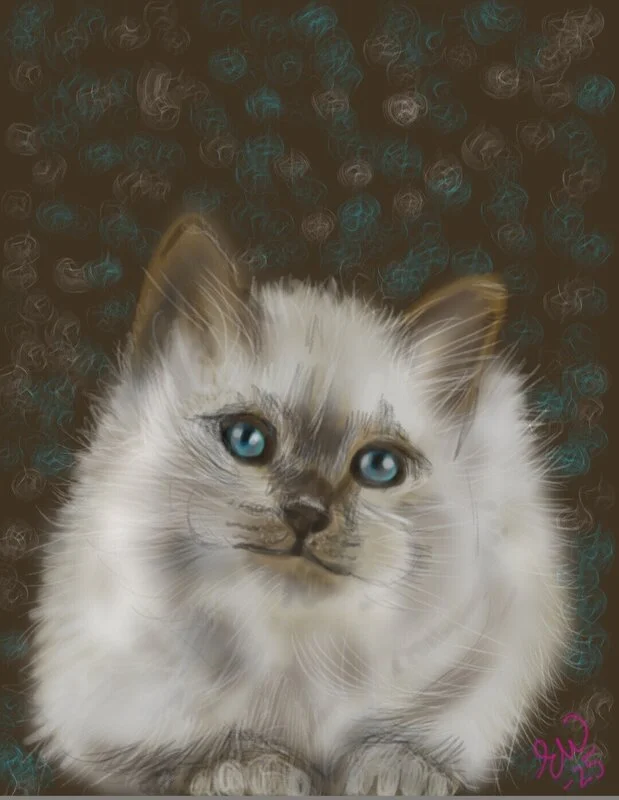 Ellinor Inga-Märta Widerberg