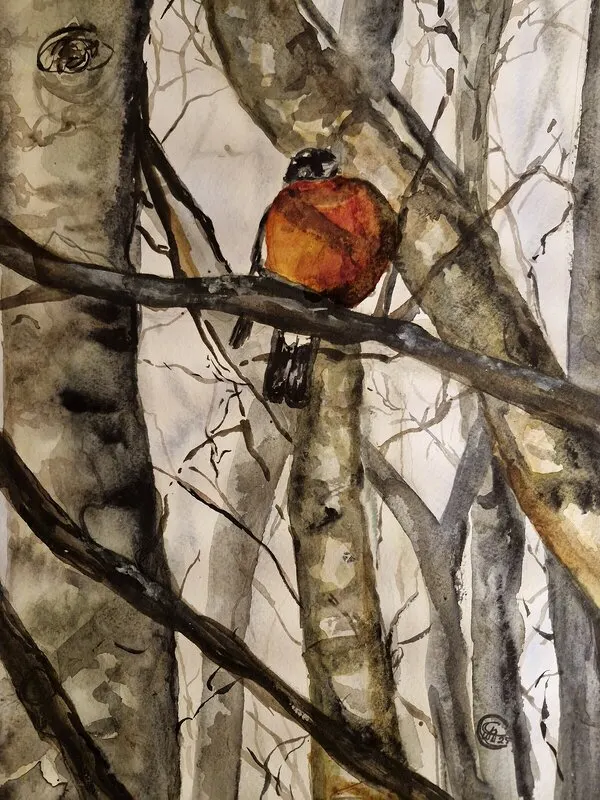 Akvarell av Åsa Andersson