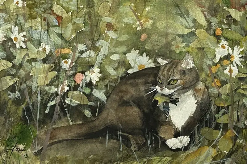 Akvarell Katten av Härje Karlgren Grindborg
