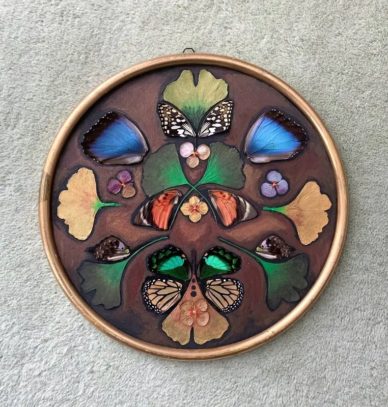 Fjärils dans. av Loretta Nigals