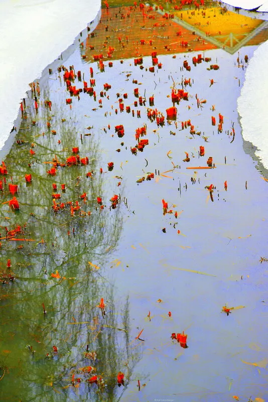 En liten å vid Trosa av Karl Leisenberger