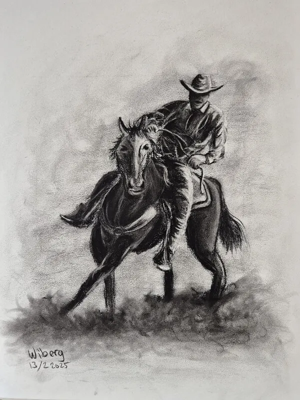 5. Cowboy III av Anders Wiberg