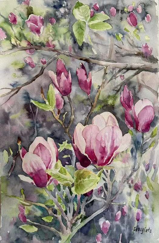 Akvarell Magnolia av Svitlana Vasylets