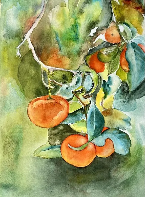 Akvarell Oranges av Ewa Helzen