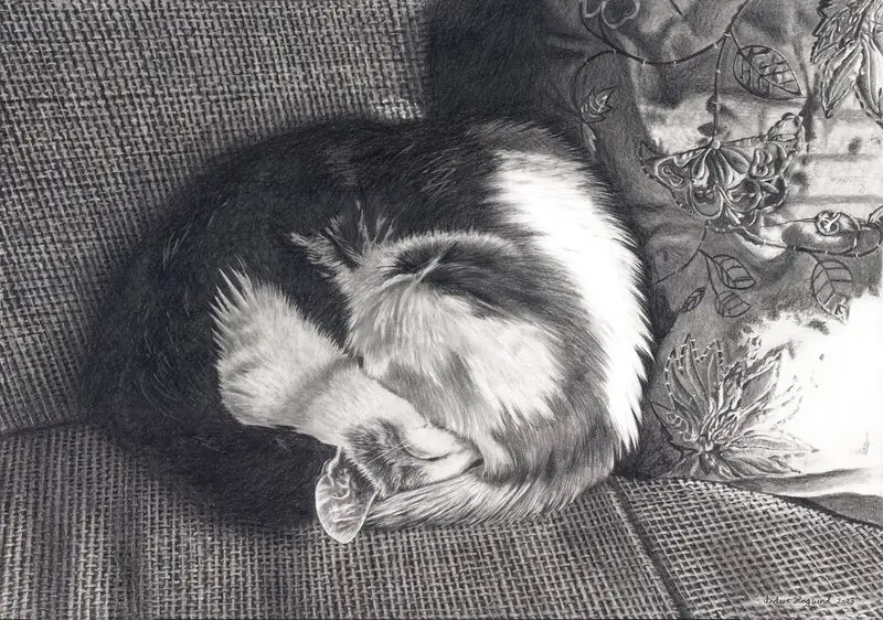 Lill-Tuffla kurar av Anders Haglund