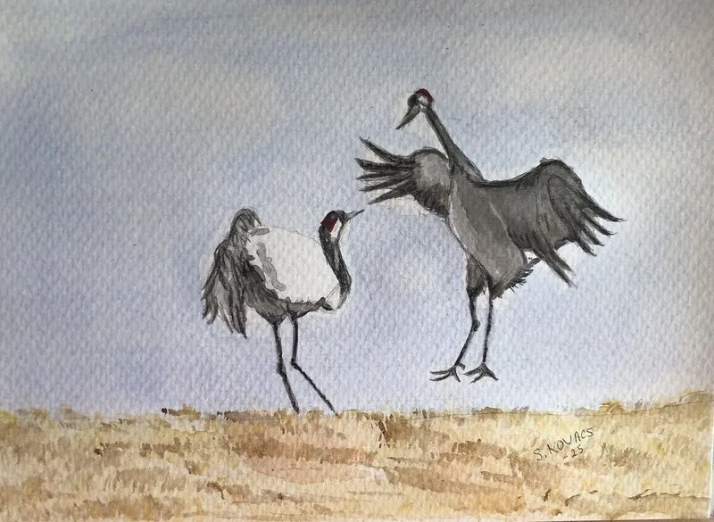 Akvarell Trandans av Susanne Kovacs