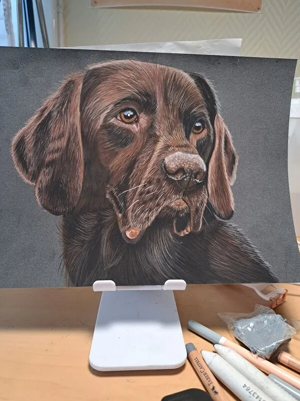 Labrador av Luna Andersson