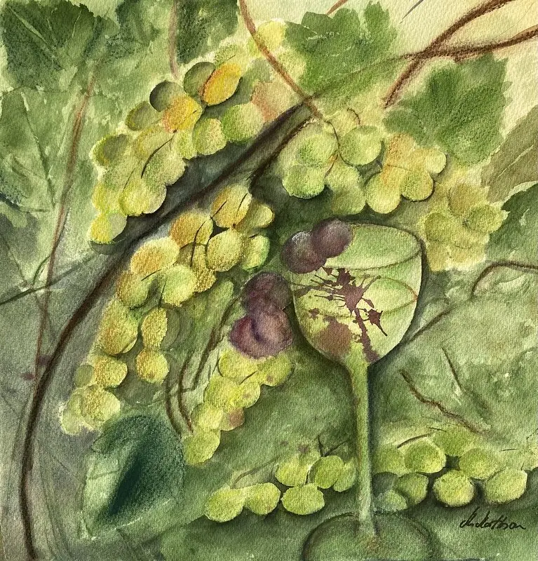 Vinskörden med provsmakning av Margareta Mattsson