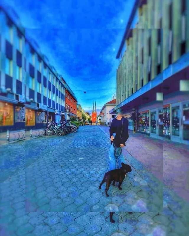 POV: WEXIÖ av Elin Petersson