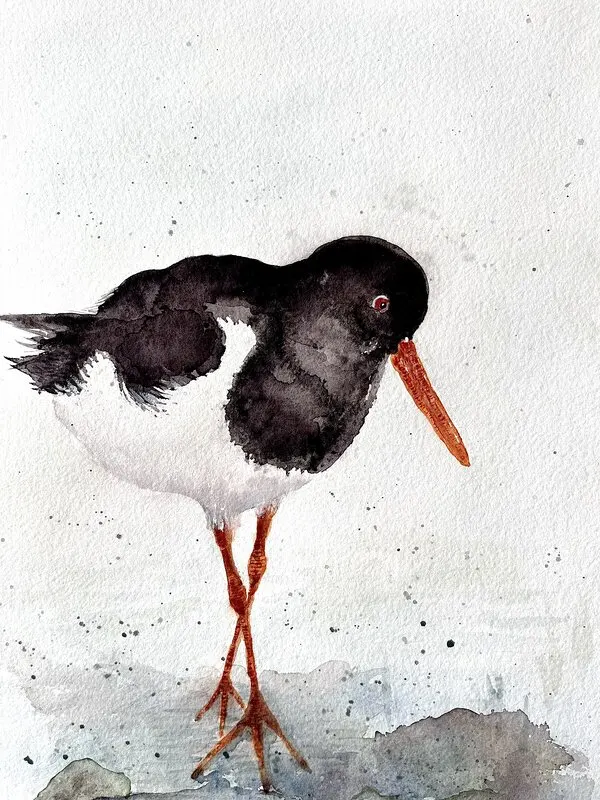 Akvarell Strandskata av Monica Berglin