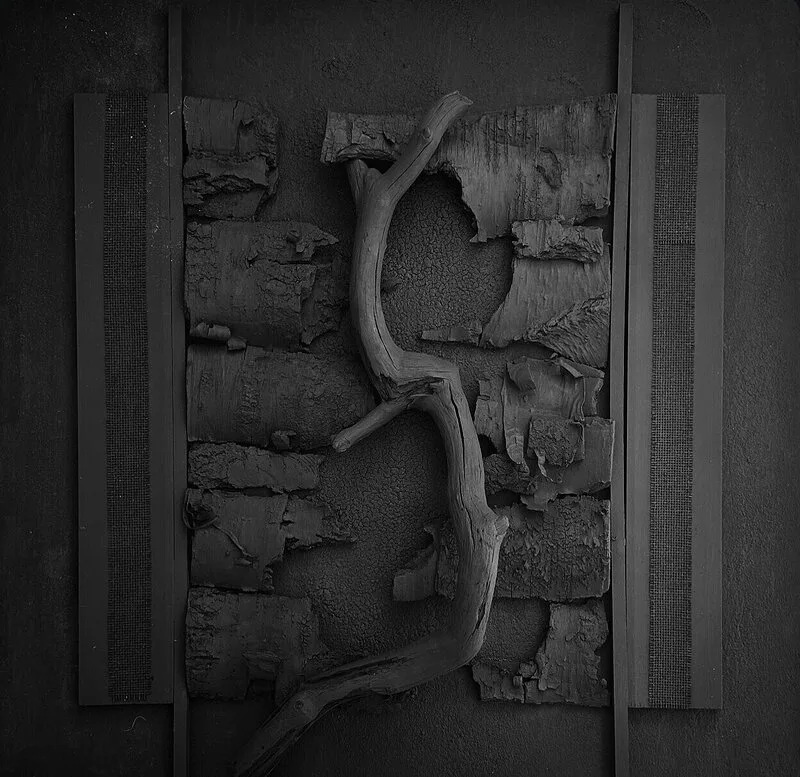 Mind the gap(s) av Carmen Paas
