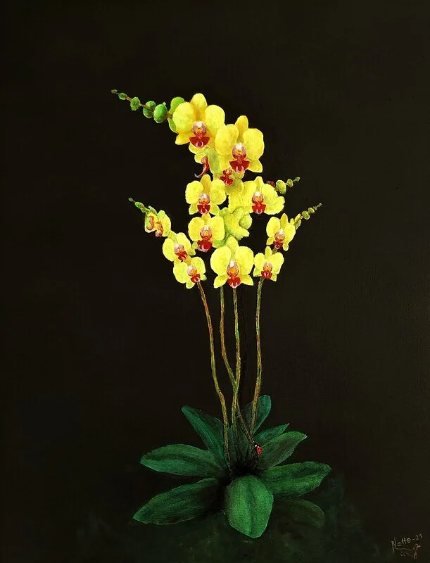 Oljemålning The beauty of Phalaenopsis av Natale Orlich