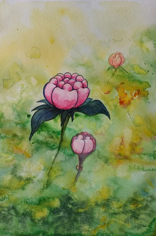 Akvarell Det knoppas av Thomas Hedén