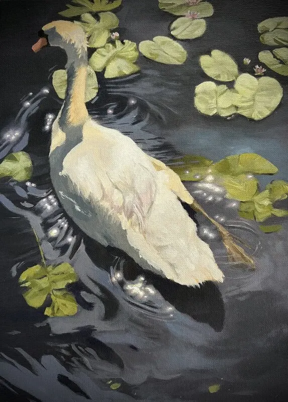 Akrylmålning Svan påväg av Emelie Palm