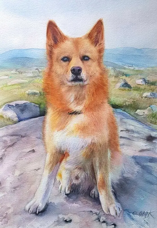 Akvarell Hatchi av Olga Brink Art