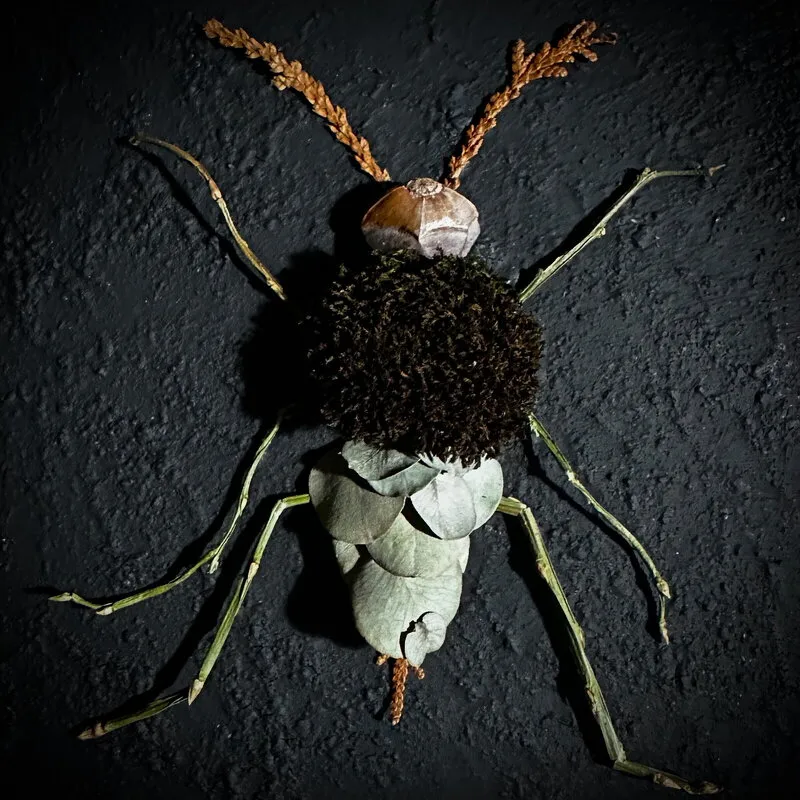 Little Critters / Småkryp XX av Carmen Paas