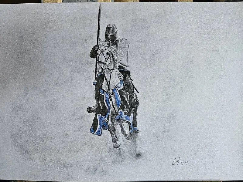 Den blåa riddaren av Catherine Aspdahl