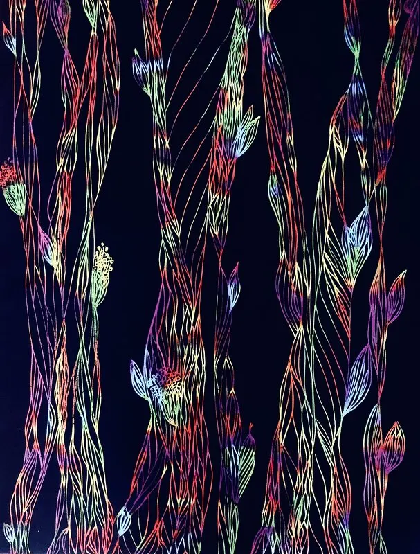 Saga av Anastasiya Wonder