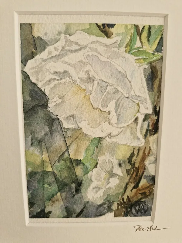 Akvarell av Åsa Andersson