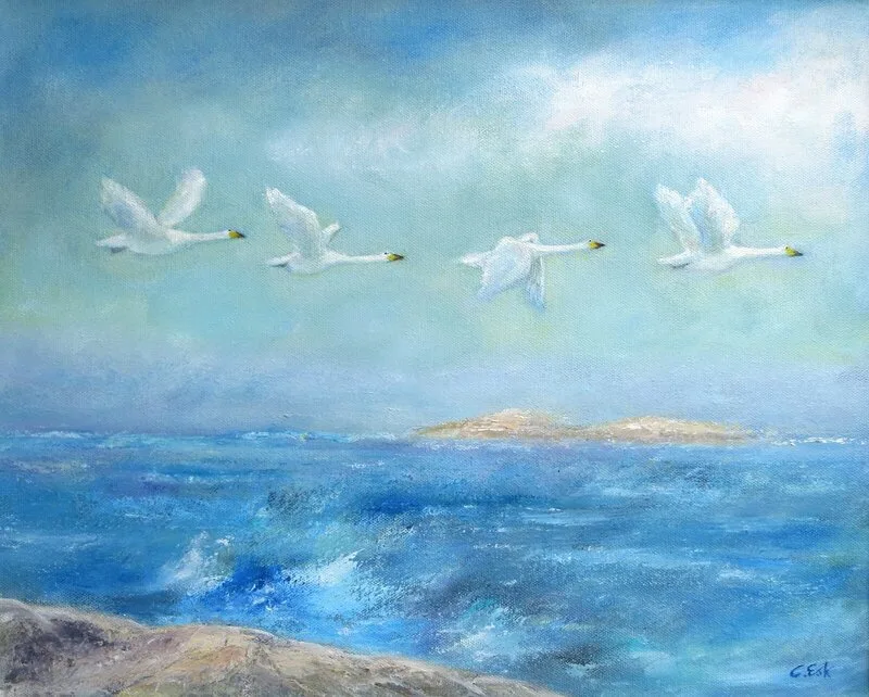 Fyra sångsvanar av Carina Esk